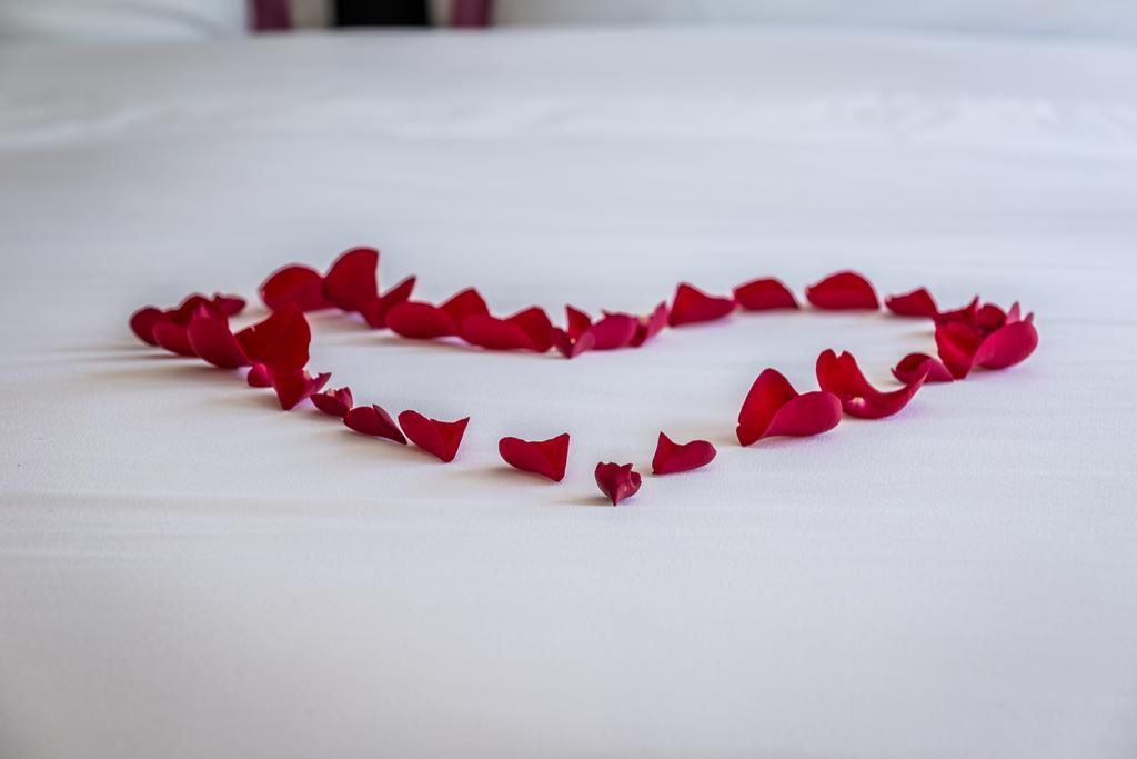 Park Plaza Hotel Seguin Luaran gambar